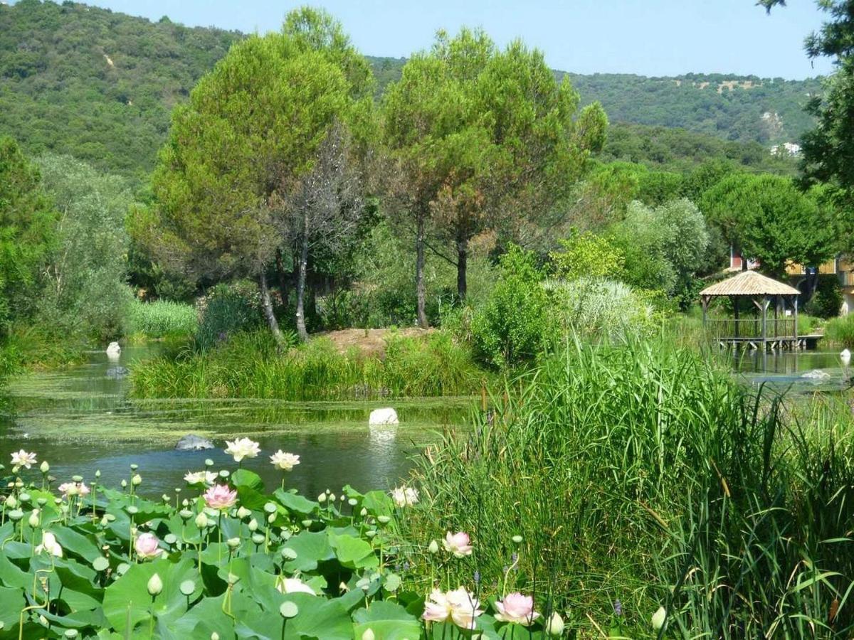 Les Restanques 1066 Jacynthe Vue Mer Grimaud Exteriér fotografie